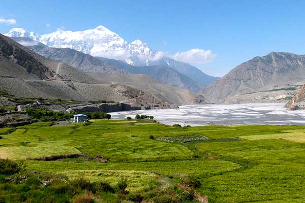 Arun-Tal Trek