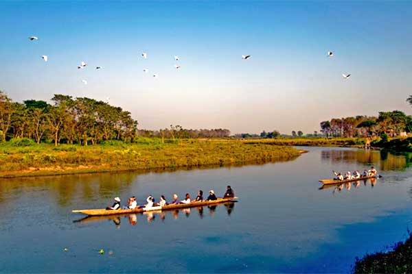 Kathmandu Chitwan Pokhara Nagarkot Tour