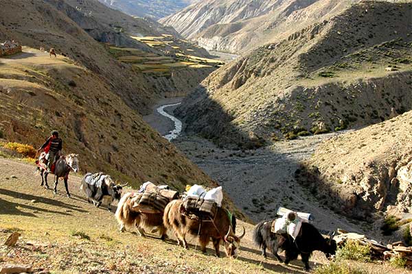 Adventure Explore Dolpo Trek