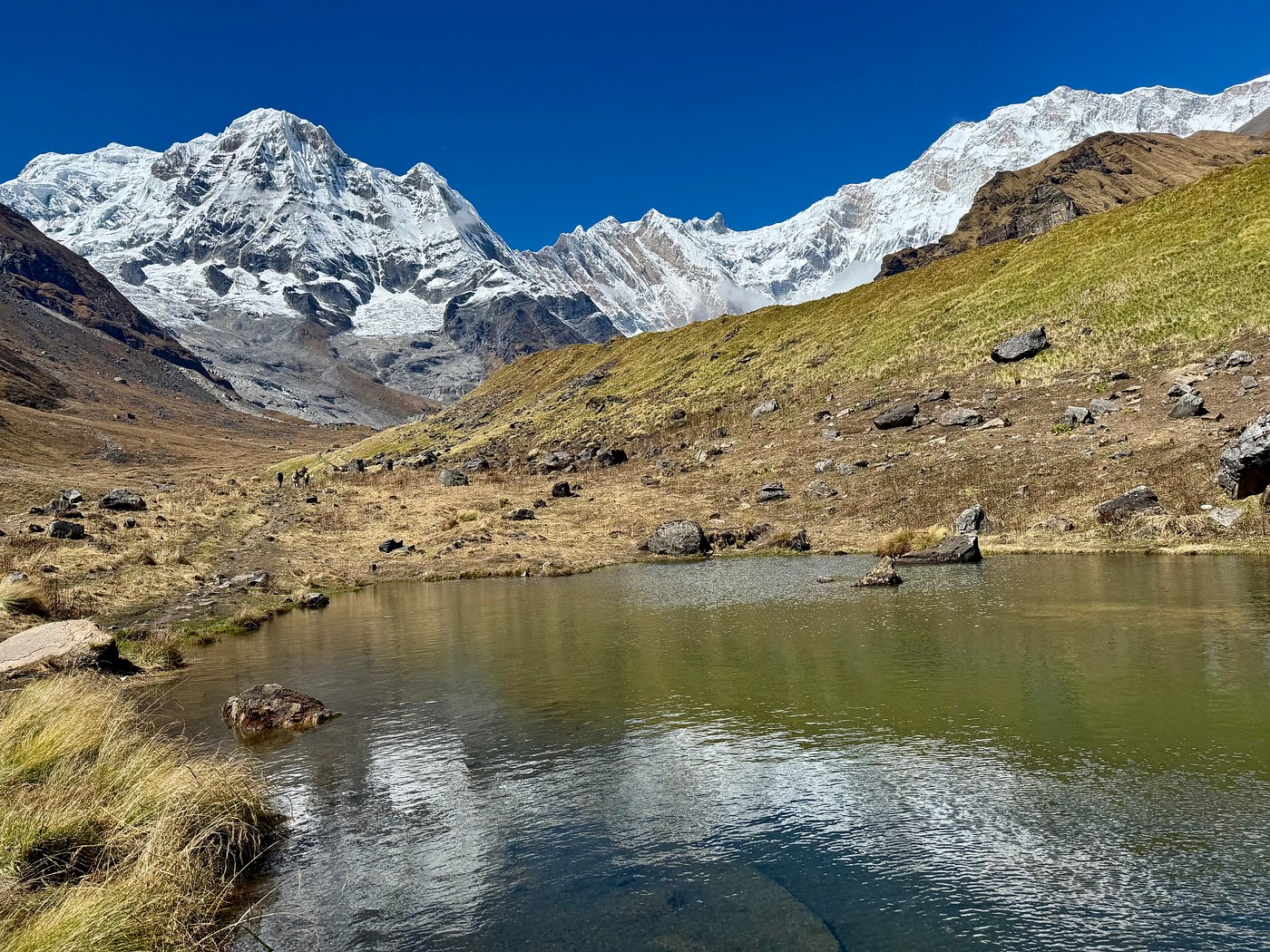 Fantastic!Mardi Himal and Muldai trekkingFantastic!