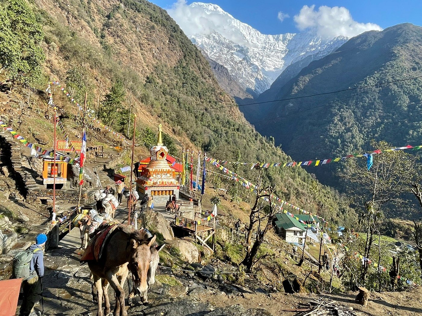 Annapurna base Camp Guest Review